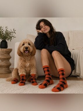 You + pet Halloween matching socks